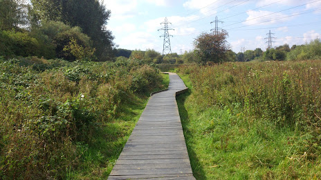 Aylestone Meadows Local Nature Reserve, Leicester