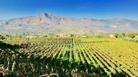 Tenuta delle Terre Nere Azienda vinicola, Randazzo