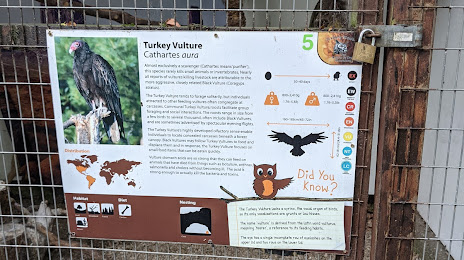 Owl & Bird Of Prey Sanctuary, Preston