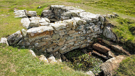 St Gwenfaen's Well, Holyhead