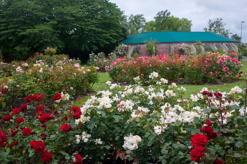 Mona Vale Garden Park, 