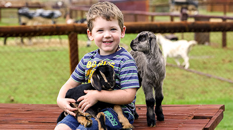 Swan Valley Cuddly Animal Farm, 