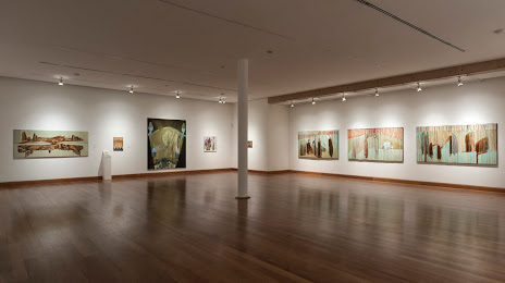 Museo de Artes Visuales (MAVI) (Museo de Artes Visuales), 