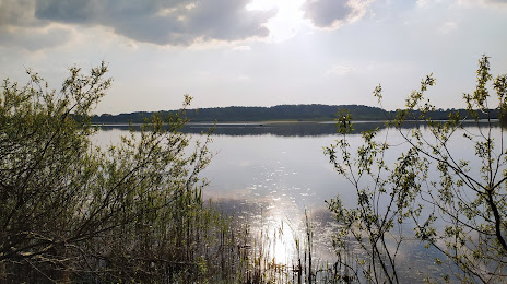 Озеро Боткампер, Плон