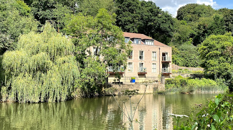 Conham River Park, Bristol