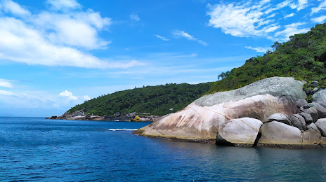 Marine Biological Reserve grove, Florianópolis