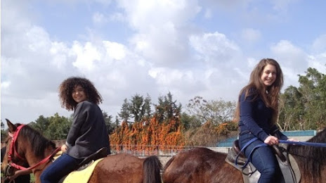 חוות גן עדן - טיולי סוסים במרכז | רכיבה על סוסים במרכז, Ness Ziona