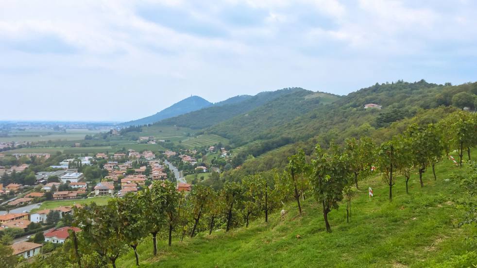 Monte Orfano, Cazzago San Martino