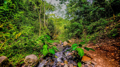 Iguazú Wellness Experience - Experiências de Bem-estar e Saúde em Foz, 