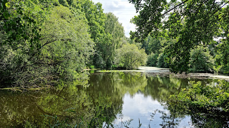 Spa ponds Forest town, Mansfield