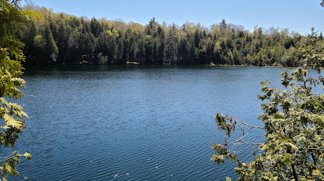 Crawford Lake Conservation Area (Reservations Required), Milton