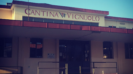 Vignuolo - La Cantina di Andria, Andria