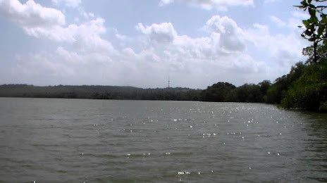 Laguna Joyuda, Hormigueros