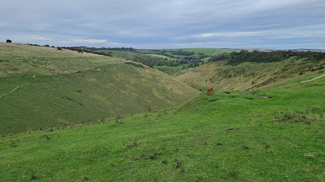 National Trust - Saddlescombe Farm and Newtimber Hill, Brighton
