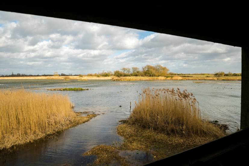 Rye Harbour Nature Reserve (Winchelsea), 