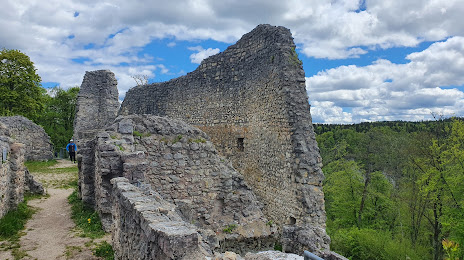 Ruine Falkenstein (Donautal), 