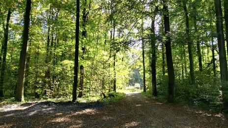 Aaper Wald, Ράτινγκεν