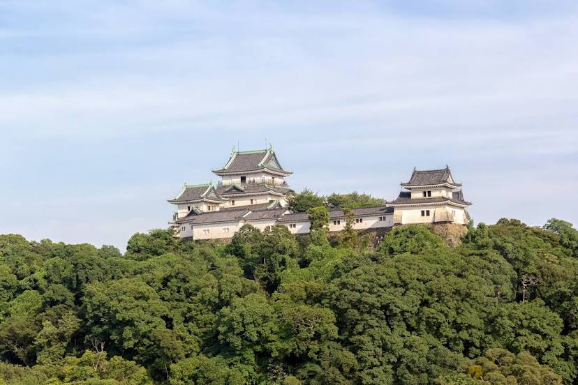 Wakayama Castle, 와카야마 시