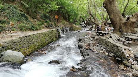 Pınarbası Piknik Alanı, Edremit
