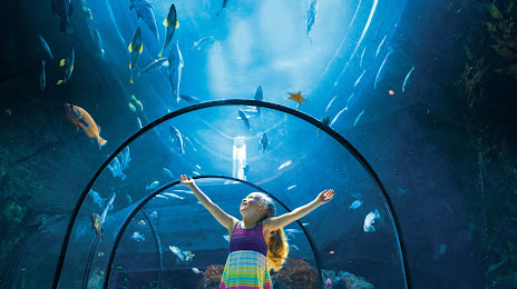 Aquarium of Quebec, كيبيك