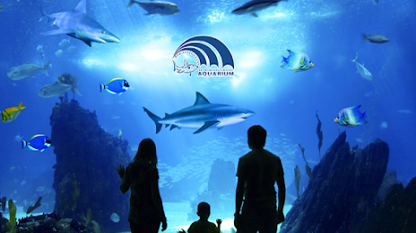 Hurghada Grand Aquarium, Hurghada