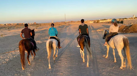 Horseriding Hurghada, 