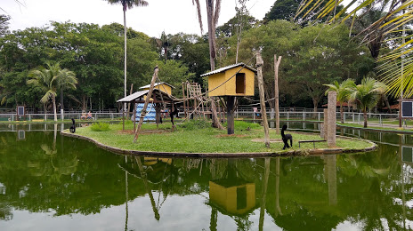 CIGS's Zoo, Μανάους
