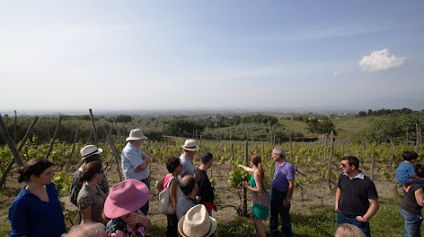 Minardi Historic Winery Tours, Rocca Priora