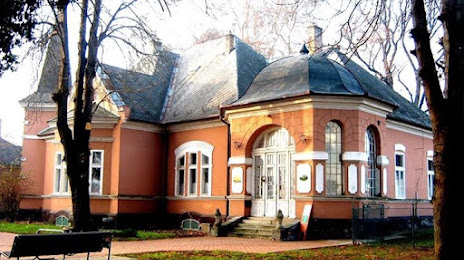 Loko-historia Muzeo de Dombóvár, 