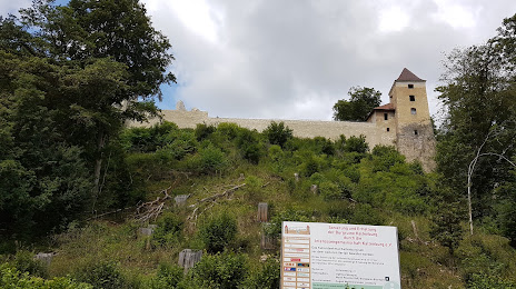 Ruine Kaltenburg, Giengen an der Brenz