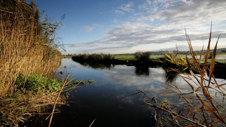 RSPB Exminster and Powderham Marshes, Exeter