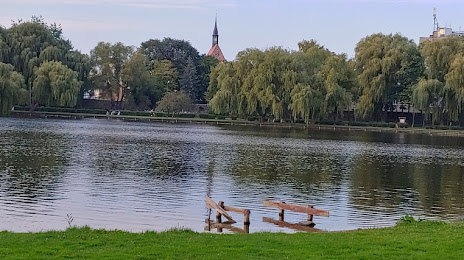 Jezioro Nowogardzkie, Nowogard