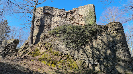 Cisy Castle (Ruiny Zamku Cisy), Świebodzice