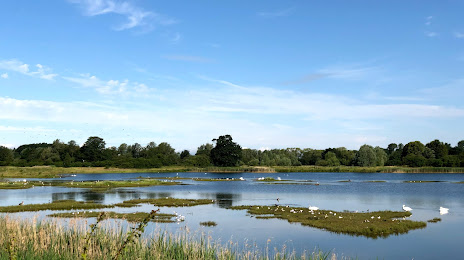Deeping Lakes Nature Reserve, Peterborough