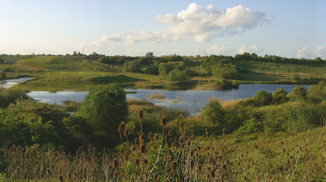 Kings Dyke Nature Reserve, Peterborough