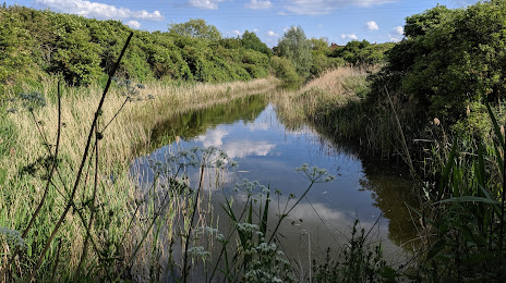 Woodston Ponds Nature Reserve, 