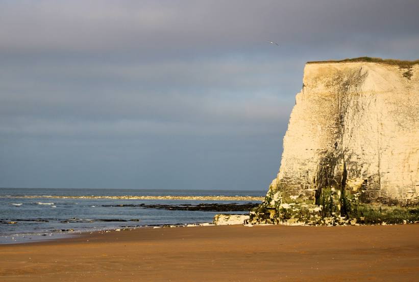 Botany Bay, 