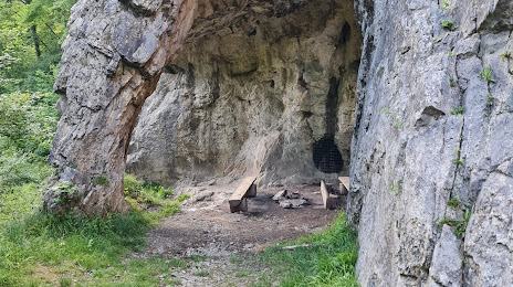 Goyet Cave, Andenne
